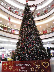 レイクタウンツリー