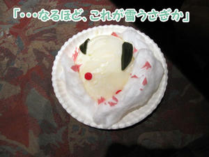 使用前雪うさぎ