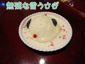 使用後雪うさぎ