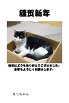 nenga.png