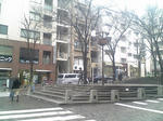 Image418_.jpg