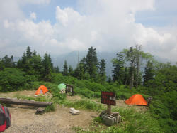 IMG_3510.JPG