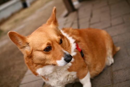 Click!!