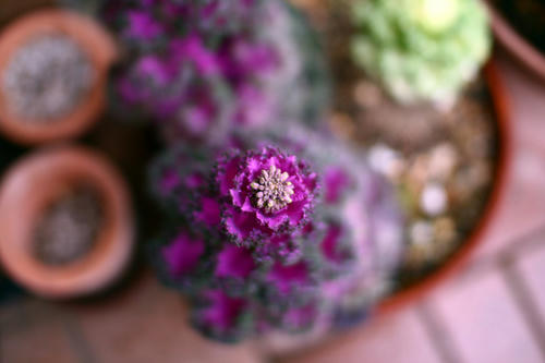 Click!!