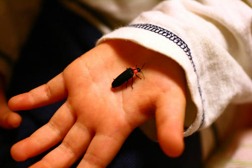 Click!!