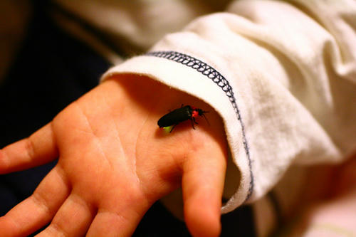 Click!!