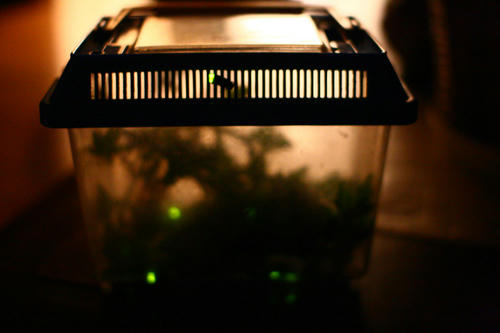 Click!!