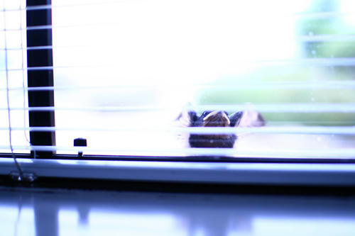 Click!!