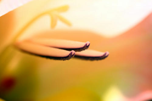 Click!!