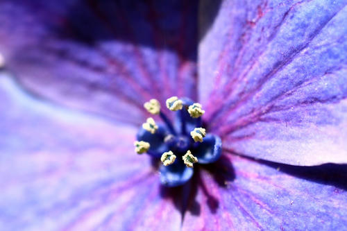 Click!!