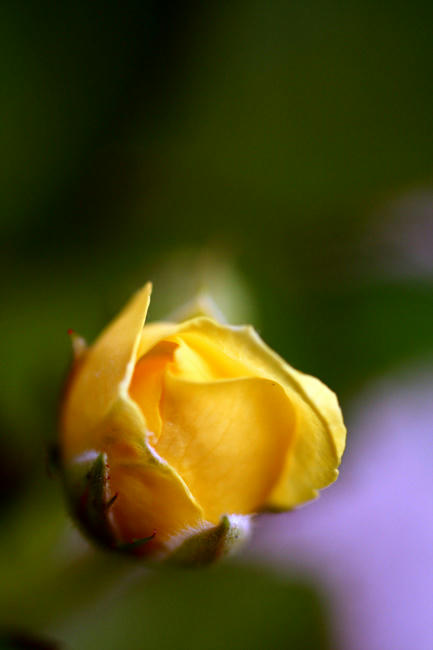 Click!!