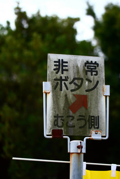 拡大！