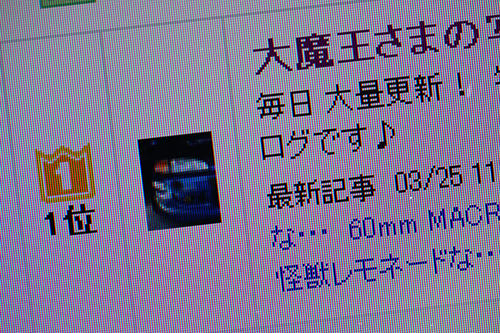 これからも応援を 宜しくお願い致します！