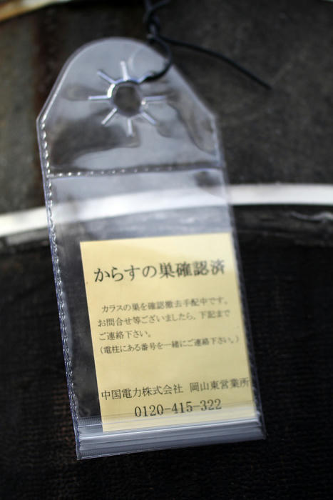拡大！