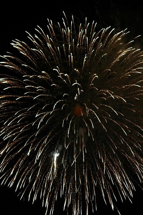 拡大！