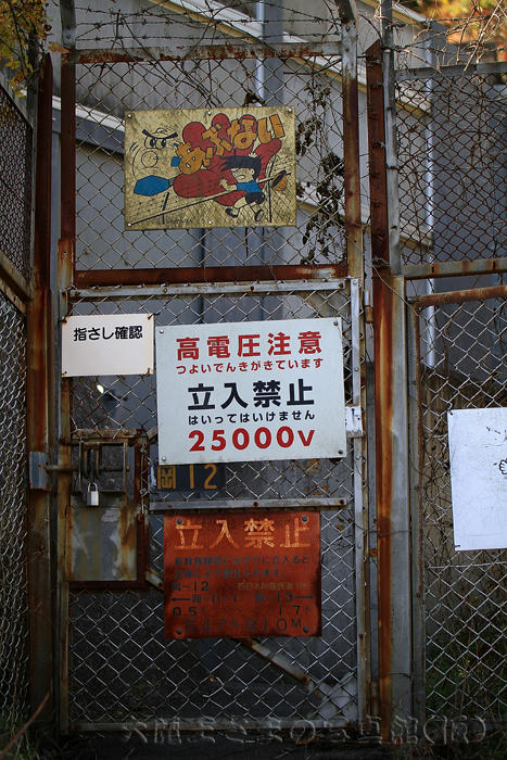 拡大！