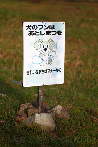 画質UP！