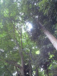 北国分の公園２