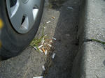 DSCF7656.jpg