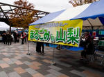 PB170052.jpg