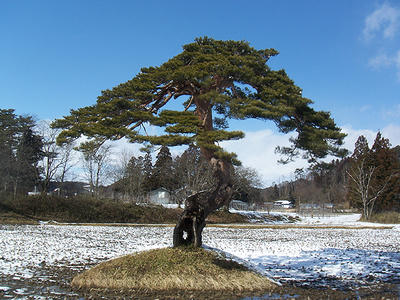 100_0816.JPG