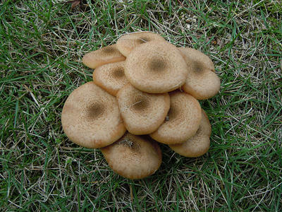 DSCN0058.JPG