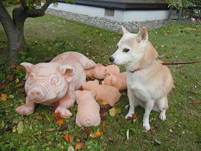 DSCN0109.JPG