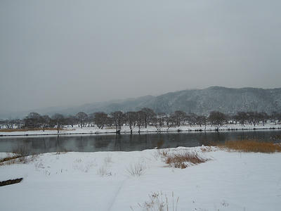 DSCN0541.JPG