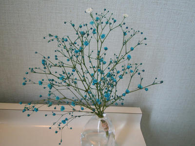 DSCN0728.JPG
