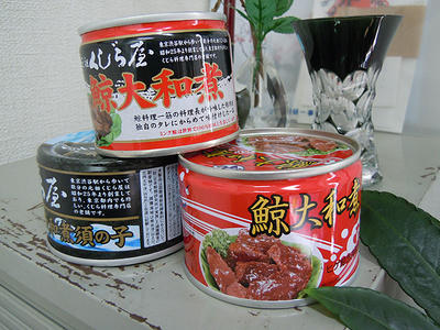DSCN0730.JPG