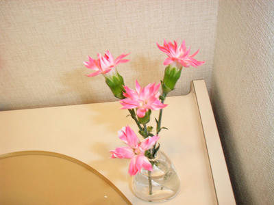 RIMG0740.JPG