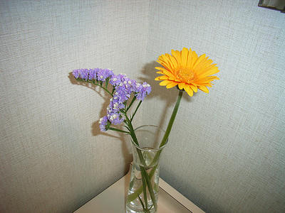 RIMG0743.JPG