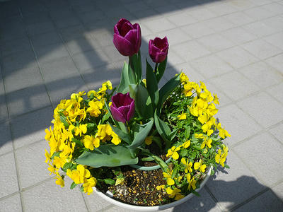 IMGP0169.jpg
