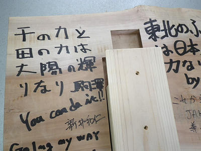 IMGP0342.JPG