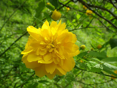 IMGP0101.JPG