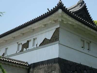 IMGP0300.JPG