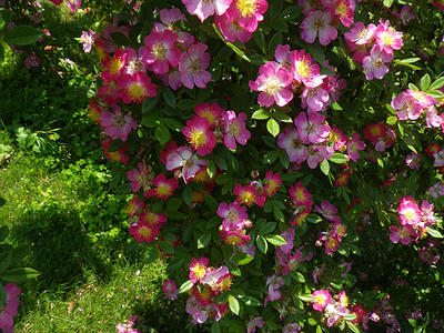 IMGP0318.JPG