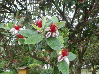 IMGP0429.JPG