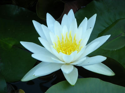 IMGP0674.JPG