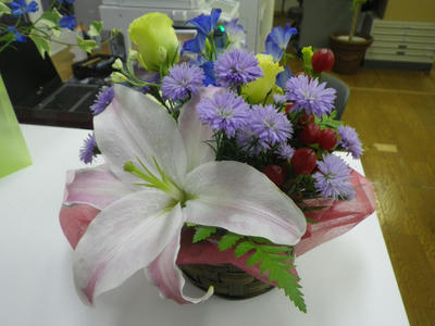 IMGP0739.JPG