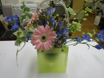 IMGP0741.JPG