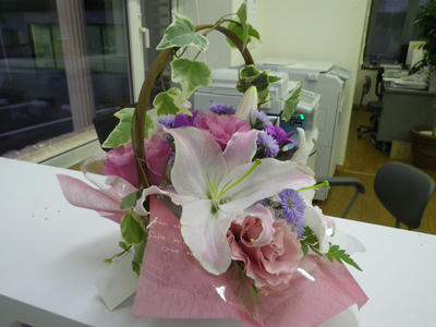 IMGP0742.JPG