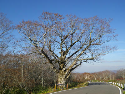 IMGP0858.JPG