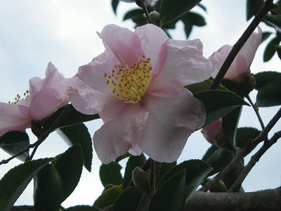 IMGP0873.JPG