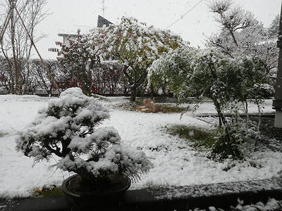 IMGP0904.JPG