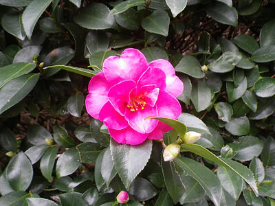 IMGP0888.JPG