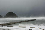 鳥居浜111227