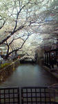 201004031332000.jpg