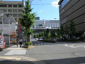 P7020508.JPG