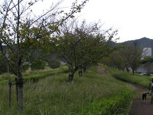 PA080621.JPG